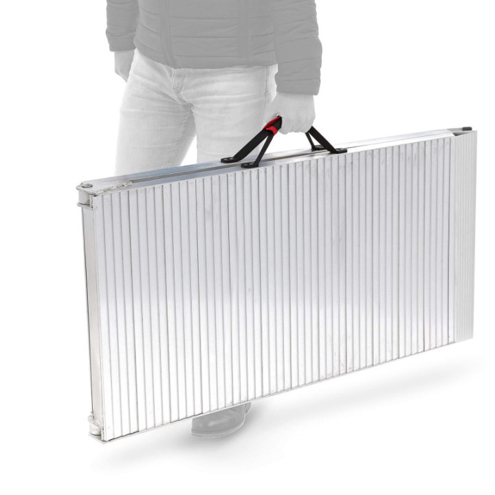 AceBikes Ramp Pro Max