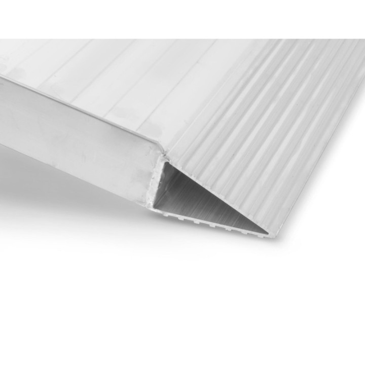 AceBikes Ramp Pro Max