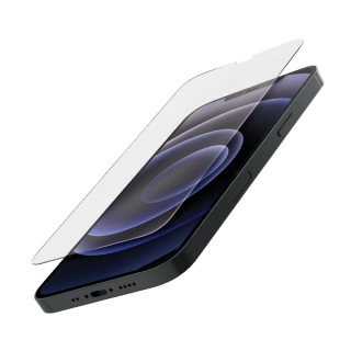 Quad Lock® Aizsargstikls - iPhone 12 mini ANX-GSP-IP12S