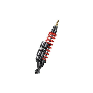 Bitubo Front Shock BMW R 1150 R 2001-2005