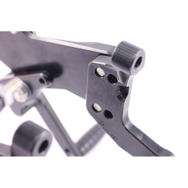 MG Biketec Kāpšļu sistēma Ducati Panigale V4 1100 2018-2020