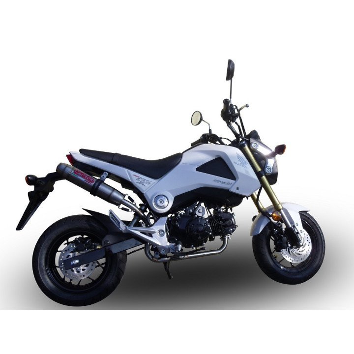 Exhaust System Honda MSX 125 GROM CO.H.233.DE