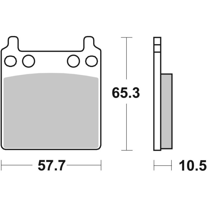 SBS Carbon bremžu uzlikas  509H.CT