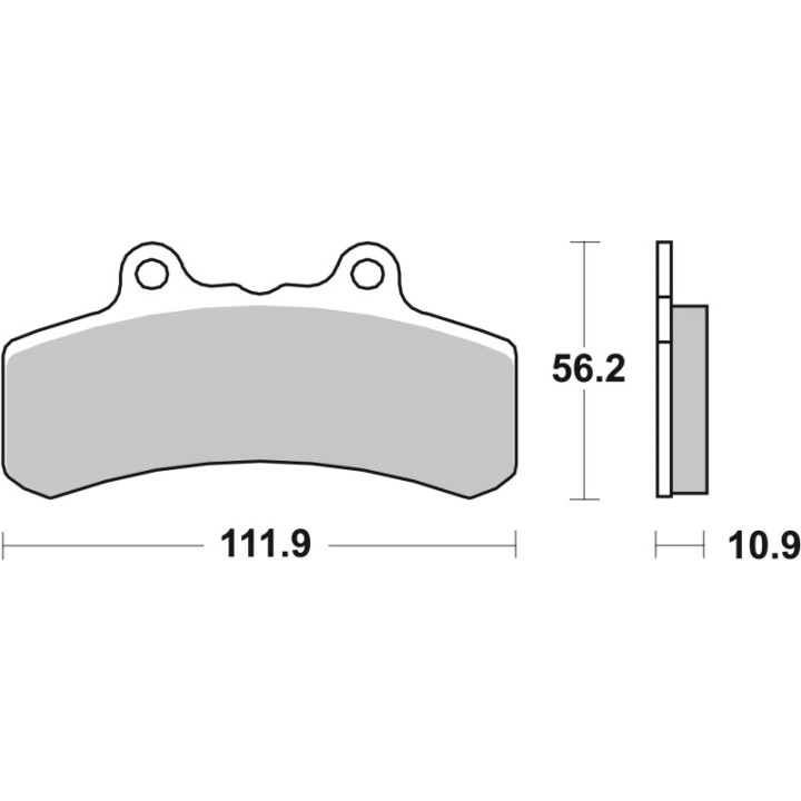 SBS Carbon bremžu uzlikas  658H.CT