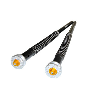 Andreani adjustable hydraulic cartrige  Ducati  "MISANO EVO 2" with assembly tool  Scrambler with assembly tool