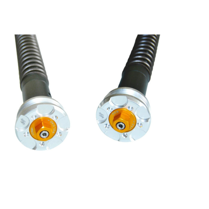 Andreani Yamaha adjustable hydraulic cartrige kit "MISANO EVO" YZF R6