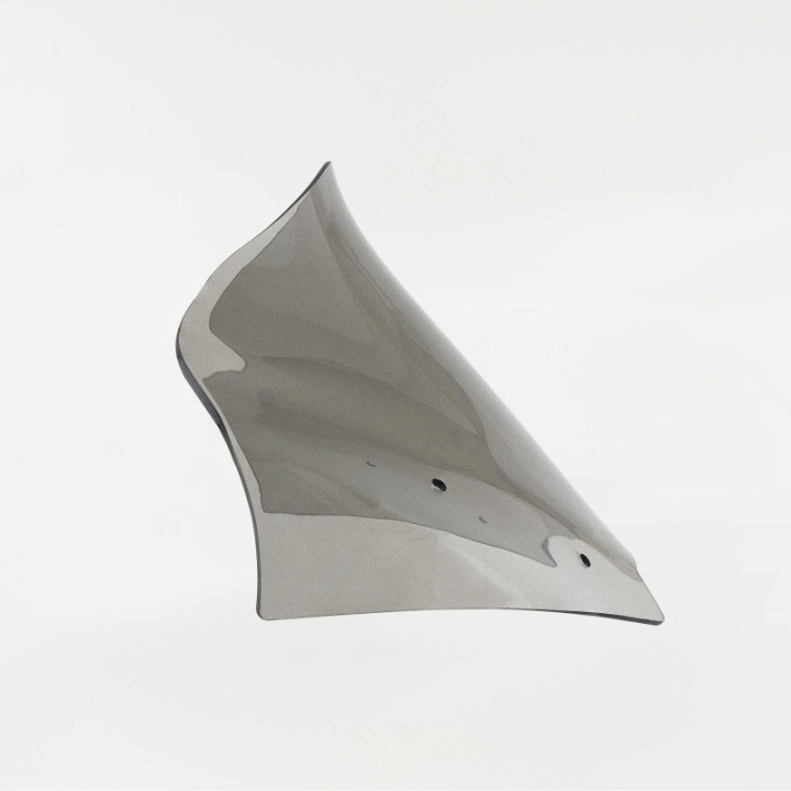 Flare Windshield 11 Sport Tint FLTR 2024-2026