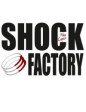 Shock Factory